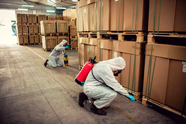 Best Best Pest Control Companies  in West Point, NE