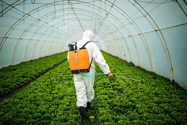 Best Affordable Pest Control Services  in West Point, NE